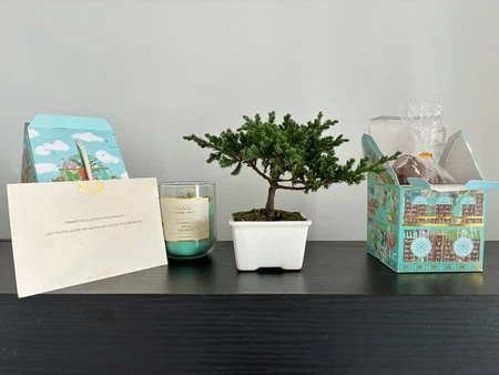 Naturaleza y Arte en Movimiento