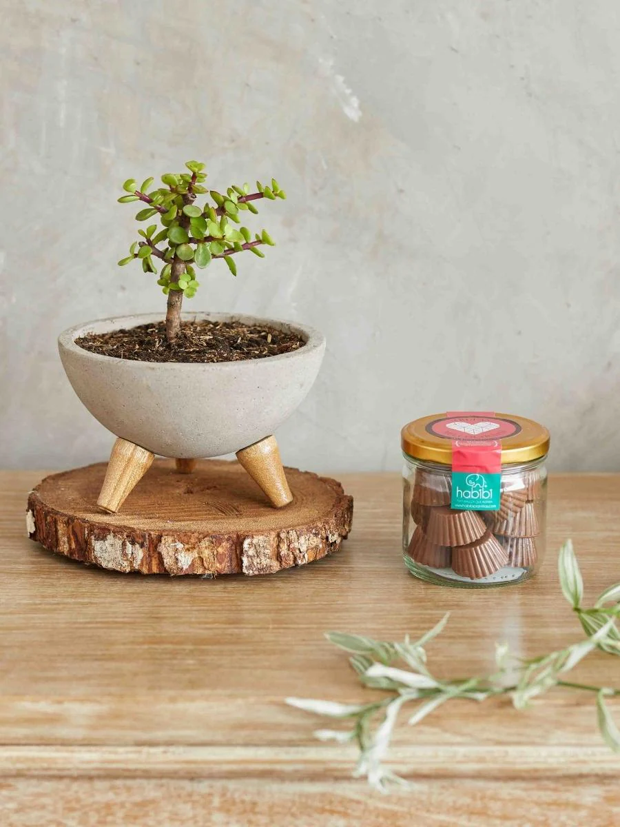 Matrimonio y Nuevo Hogar